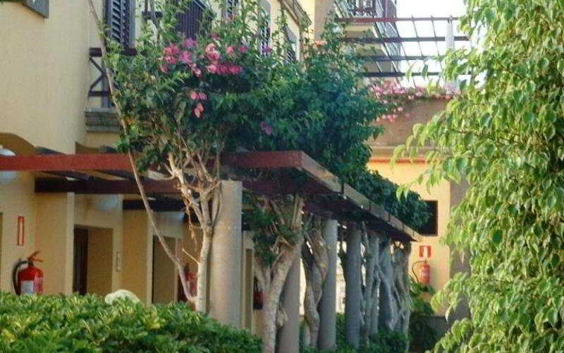 Maspalomas Oasis Club photo 8