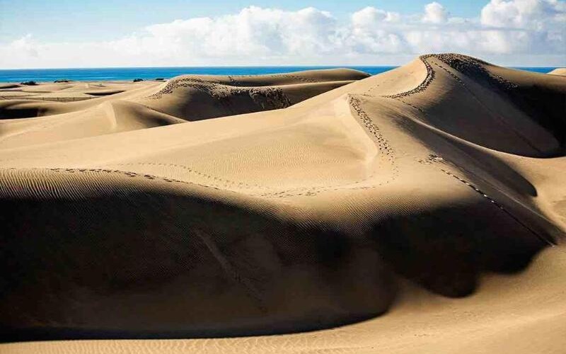 Maspalomas Oasis Club photo 12