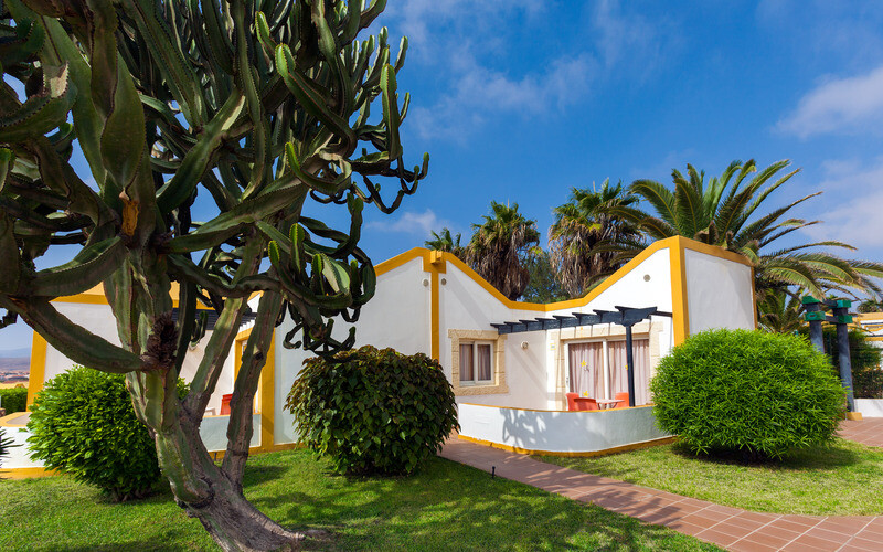 Caleta Dorada photo 8