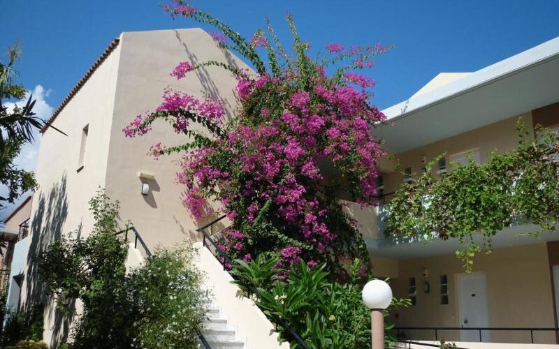 Selini Suites photo 38