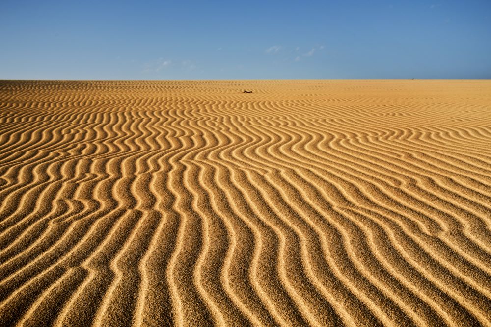 Widok na wydmy w Corralejo